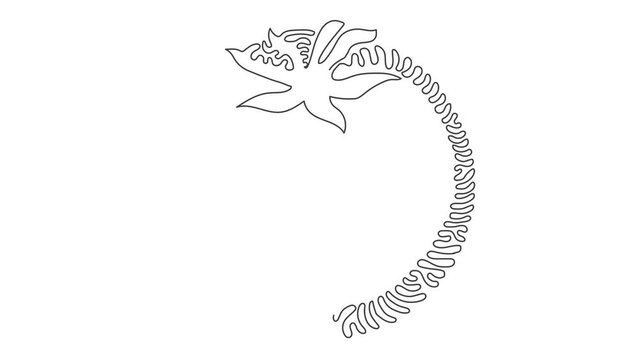 Self drawing animation of single line draw whole healthy organic tomato for farming logo. Fresh tropical vegetable for vegie icon. Swirl curl circle style. Continuous line draw. Full length animated.