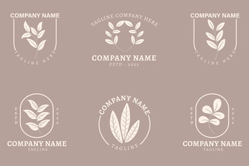 Fototapeta premium Minimalist White Leaf Leaves Nature Logo Collection Style Brown Pastel.