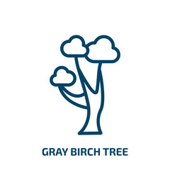 gray birch tree icon from nature collection. Thin linear gray birch tree, forest, birch outline icon isolated on white background. Line vector gray birch tree sign, symbol for web and mobile