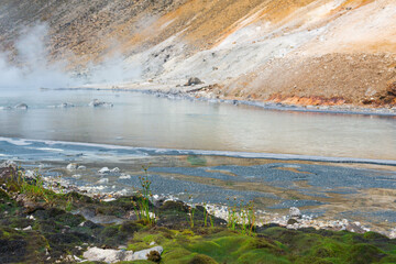 extremophilous vegetation on the shore of a hot mineralized volcanic lake, reminiscent of the first land plants
