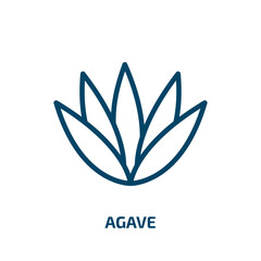 agave icon from nature collection. Thin linear agave, plant, natural outline icon isolated on white background. Line vector agave sign, symbol for web and mobile