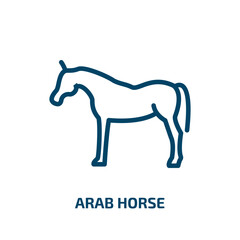 arab horse icon from other collection. Thin linear arab horse, equestrian, horse outline icon isolated on white background. Line vector arab horse sign, symbol for web and mobile