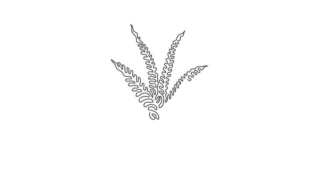Animated self drawing of continuous line draw potted snake plant for home decor logo identity. Fresh evergreen perennial plant concept for plant icon. Swirl curl style. Full length one line animation.