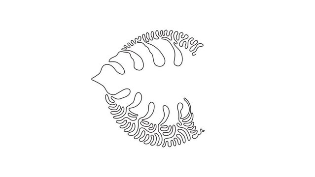 Animated self drawing of continuous line draw monstera leaf. Botany style concept for posters, wall art, tote bag, t-shirt, sticker print. Swirl curl circle style. Full length one line animation.