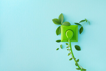 Green power cord in wall socket or outlet with fresh leaves. Ecological friendly and sustainable renewable energy concept.