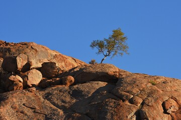 Baum auf den Steinkugeln des Erongo Gebirges in Namibia.