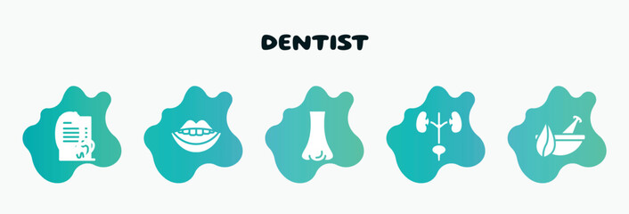 dentist filled icons set. flat icons such as smiling mouth showing teeth, e, excretory system, natural herbs and a mortar for healing, note on a clipboard icon collection. can be used web and