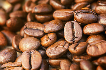 natural background of roasted coffee beans close-up