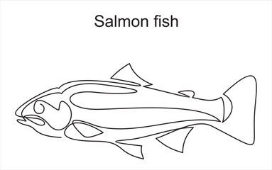 Salmon fish in continuous line drawing style. Minimalist black linear sketch on a white background. Vector illustration