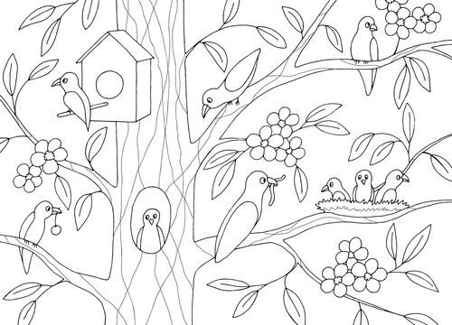 Funny birds sitting on tree birdhouse graphic black white sketch illustration vector