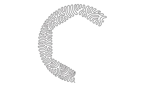 Animated self drawing of continuous one line draw hand drawn hexagon, blank drawing frame isolated, black scribble lines, hexagon. Swirl curl circle style. Full length single line animation.