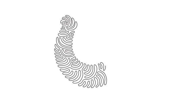 Self drawing animation of single line draw metal horseshoe for horses. Shoes for horses to protect hooves. Farm and gardening single icon. Swirl curl style. Continuous line draw. Full length animated.