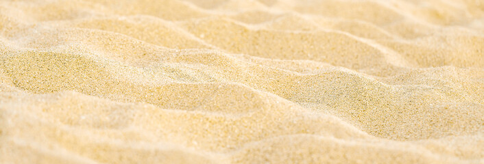 Fototapeta na wymiar Summer banner. Sand background. Texture sandy beach.