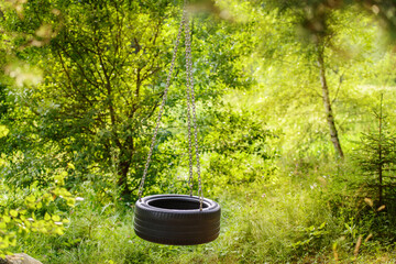 Swinging homemade tire on a tree in the summer forest. No one on the swing. Loneliness