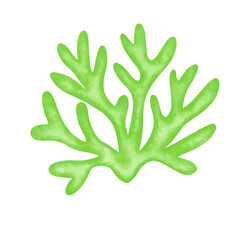 green seaweed leaf watercolor illustration