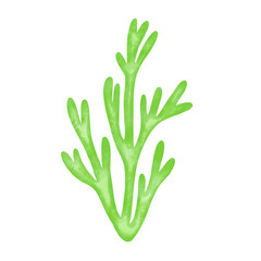 green seaweed leaf watercolor illustration