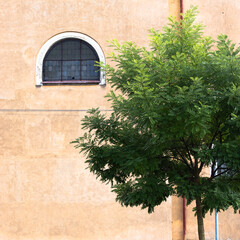 window in the wall with green tree in front