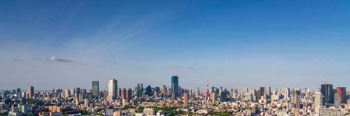 Panoramic view of Tokyo city view at daytime.