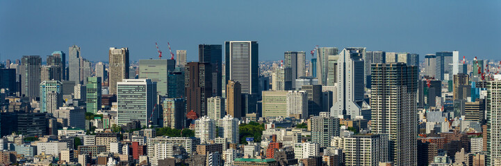 Fototapeta na wymiar Panoramic view of Tokyo city view at daytime.