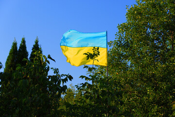 National flag of Ukraine. Yellow-blue flag. The symbol of the Ukrainian nation. Independent Ukraine. Ukrainian flag is blowing in the wind