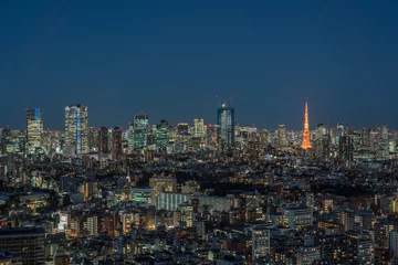 Fotobehang Tokyo city view and Tokyo tower at magic hour. © hit1912
