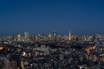 Fototapeta na wymiar Tokyo city view and Tokyo tower at magic hour.