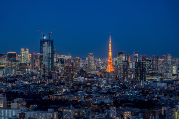 Fototapeta premium Tokyo city view and Tokyo tower at magic hour.