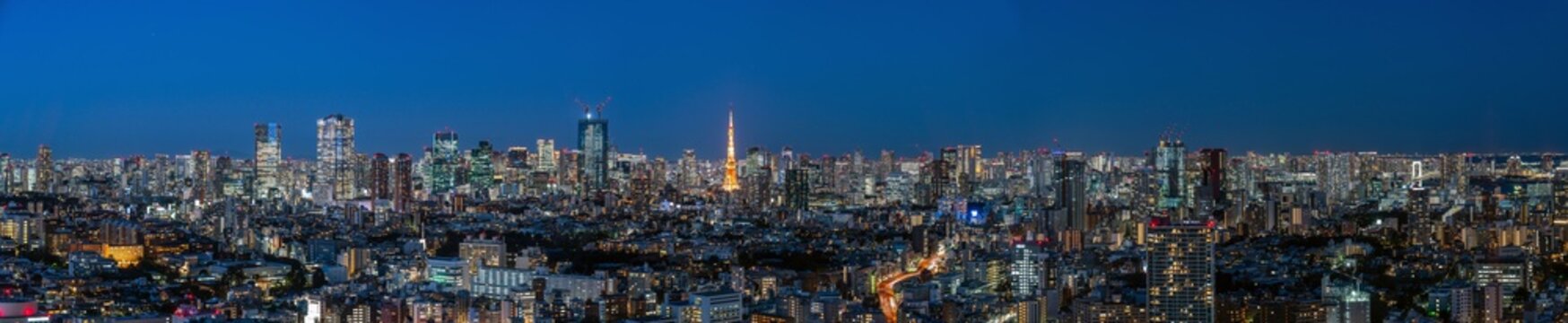 Tokyo city view and Tokyo tower at magic hour.