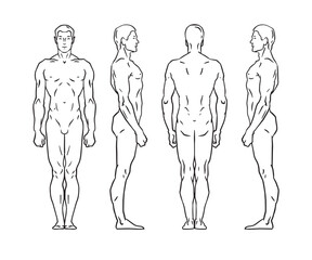 Male body. Man vector outline illustration . Back and Front, rear and side views.