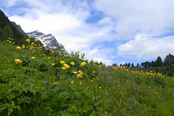 Defereggental in Österreich im Sommer