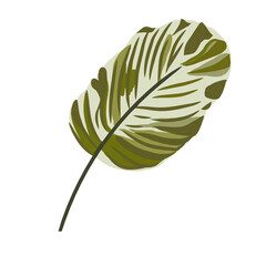 Plants and Leave Illustration Simple