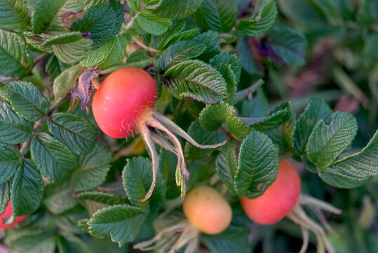 Y8uu8wrxxekcom Y8uu8wrxxekcom