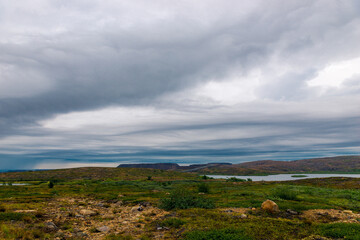 Fototapeta na wymiar Polar landscape with granite stones and plants. North lake in the stone shore