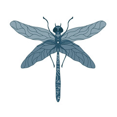 Dragonfly isolate. Insects are drawn by hand in soft, pastel colors. Ideal for textiles, clothing, postcards, banners, designers.