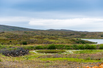 Polar landscape with granite stones and plants. North lake in the stone shore