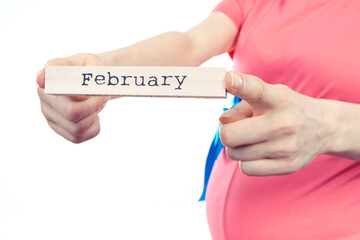 Pregnant woman in pink dress with blue ribbon showing word february. Expecting for newborn and expansion of family