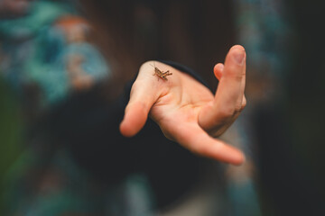 hand of the person with grasshopper on it