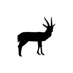 Vector illustration of black horned gazelle