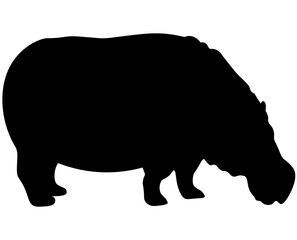 Vector illustration of a black hippopotamus