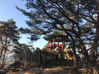 Fototapeta premium 부여 부소산성 낙화암