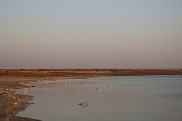 Sunset at The Magic Lake in Fayoum - Egypt