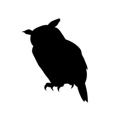 vector illustration of a black owl