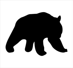 vector illustration of a black bear