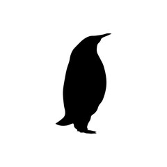 vector illustration of a black penguin