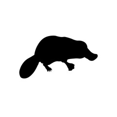 vector illustration of a black platypus