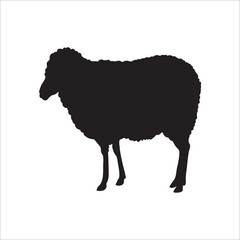 black sheep vector illustration