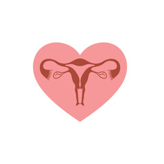 illustration of uterus, female reproductive organs.