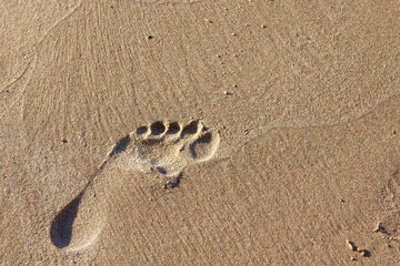 Fototapeta na wymiar Closeup human footprint on sandy beach. Copyspace.
