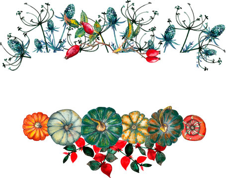Halloween banner of ripe pumpkins, briar berries, dry thistle  flowers and plants. Watercolor hand painted isolated illustration on white background.