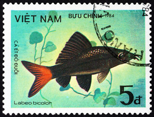 Postage stamp Vietnam 1984 redtail shark, freshwater fish